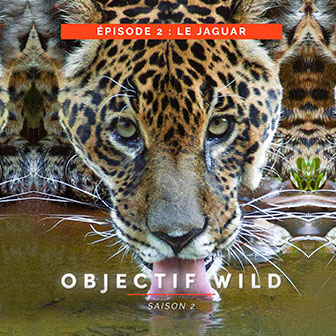 Objectif Wild